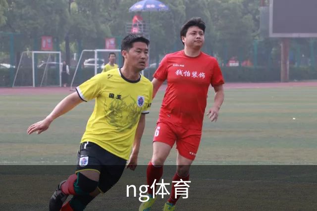 ng体育公司简介图片